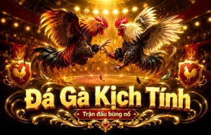 Sảnh đá gà patterson4judge